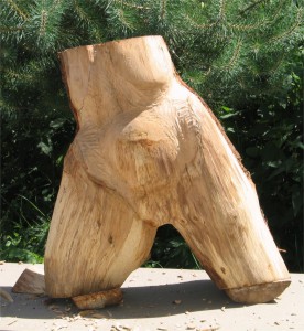 torso0101